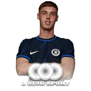 3 Sing Sport